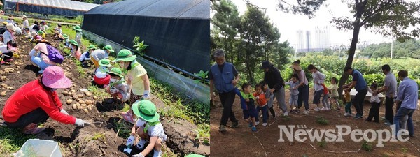(사진=(좌)감자캐기 전체활동 (우)특수장애아동 희망의 징검다리)