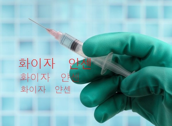 정부는 화이자,얀센의 백신구매를 체결 했다고 발표했다[사진=픽사베이]