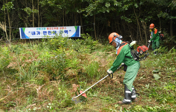 추석 명절 벌초, 코로나19 확산 방지 해결사가 떴다. [사진=산림청 제공]