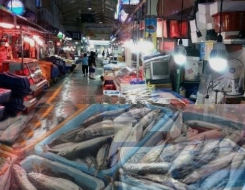 [사진=시사뉴스피플 자료 ]