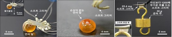 경도 및 연성 조절이 가능한 로봇인 소프트 그리퍼가 개발되었다. [사진=과학기술정보통신부]