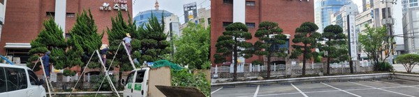 (조경공사 전, 후)