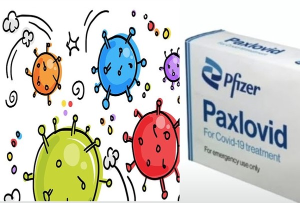 파스로비드 먹는약 [사진=자료 사진 일러스트]