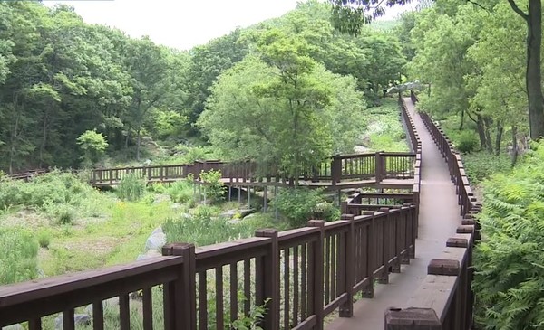 산림청은 7월12일 국립 무의도 자연휴양림 개장식을 가지고 15일 부터 운영된다 [사진=이미지 자료 사진]