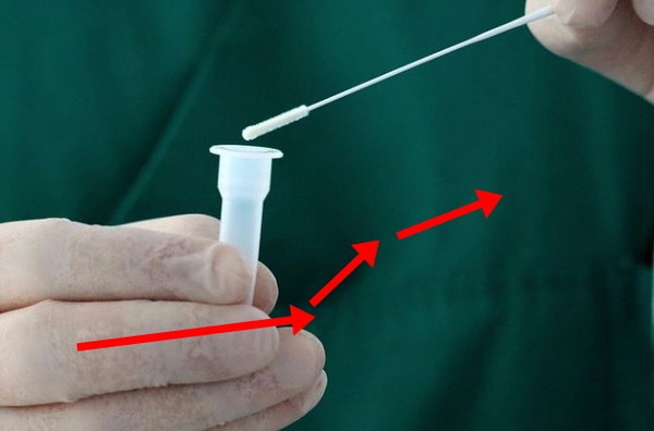 [사진=픽사베이]