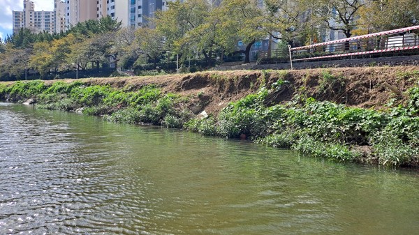 (사진=집중호우 등으로 저수호안 세굴이 발생한 온천천 모습, 이주환 의원실 제공)
