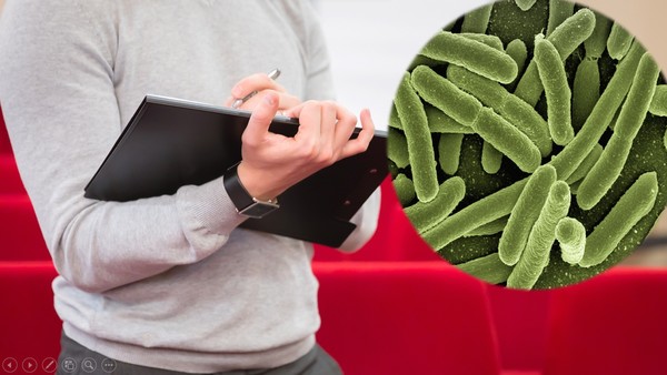 학교·유치원 집단 급식소, 학교 주변 조리·판매업소 등 4만 2천여 곳 점검 [사진=픽사베이]