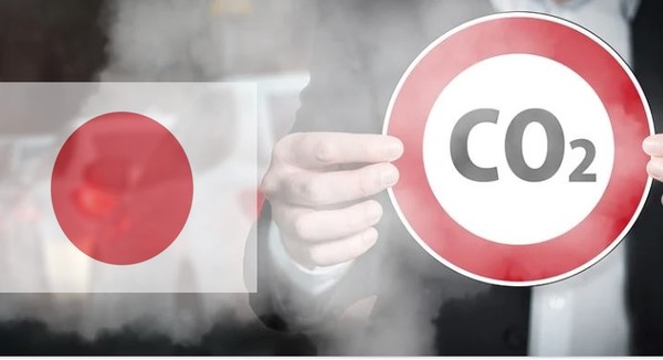 [사진=np 자료사진 그래픽]