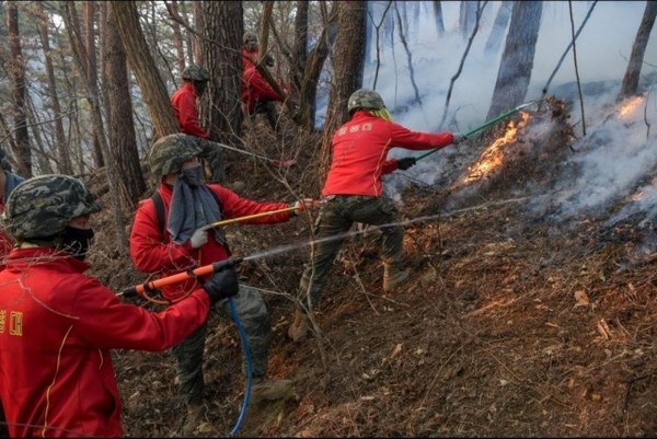 산림청은 21일부터 행정안전부, 국방부와 합동으로 산불 진화 현장에 투입되는 군 병력에 대한 안전교육을 시행한다. 사진은 해병대 장병들이 지난 2022년 울진삼척 산불을 진화하고 있다.(사진=산림청)