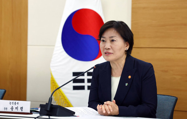 송미령 농림축산식품부 장관이 19일 정부세종청사에서 한국형 소득·경영 안전망 구축방안을 논의·마련하기 위한 민·관·학 협의체 출범식에서 발언하고 있다.(사진=농림축산식품부)