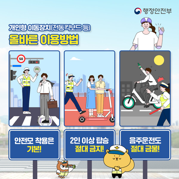 (자료=행정안전부)