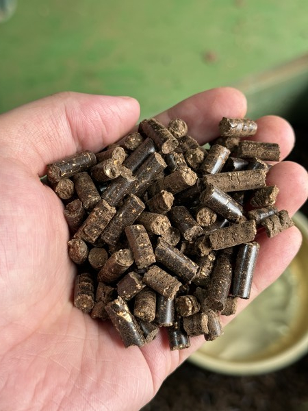 청아펠릿  시제품