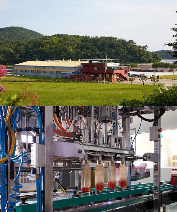 본사전경과 생산라인