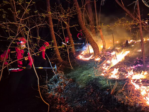 산불진화대원들이 7일 밤 하동군 옥종면 야산에서 산불을 끄고 있다.(사진=산림청)