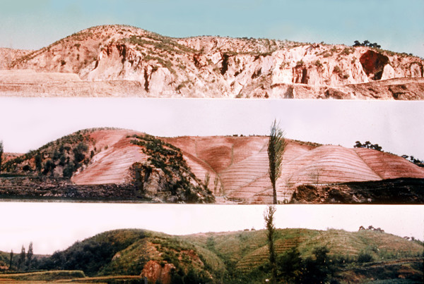 유네스코 세계기록유산에 등재된 산림녹화기록물. 사진은 포항 영일만 지구 (사진=산림청)