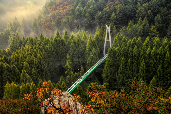 대전 장태산 자연휴양림 (사진=장태산자연휴양림 홈페이지)