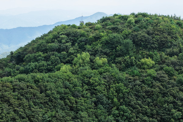 산림생태복원 왕중왕전에서 대상으로 선정된 ‘김천 바람재’ (사진=산림청)