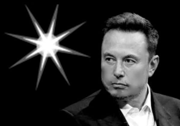 일론머스크[사진=np 자료 ]